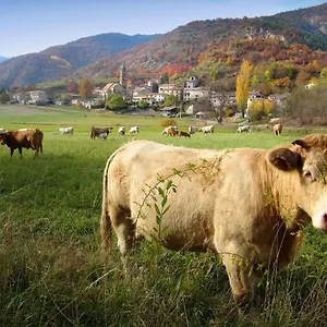La Tanière Des Alpes Appartement